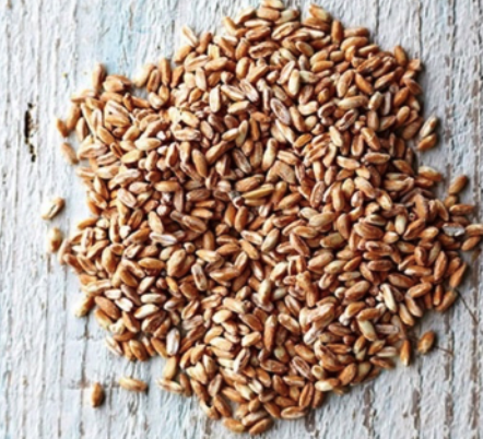 spelt