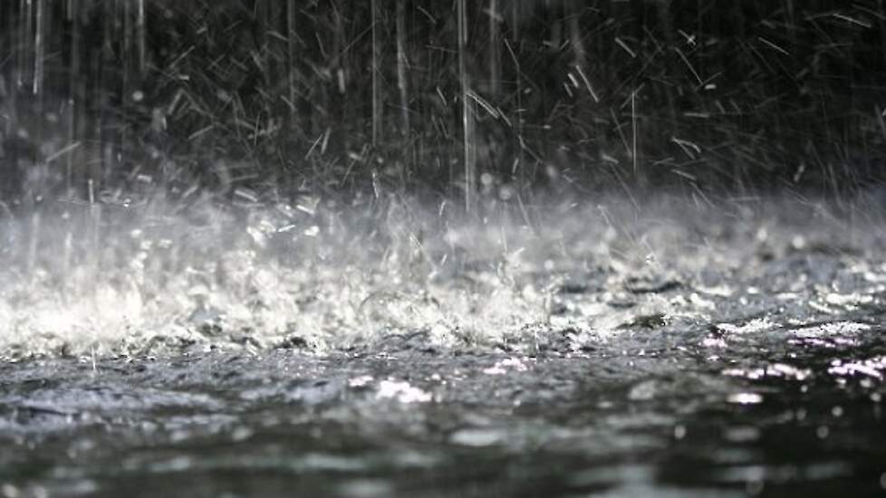 regen