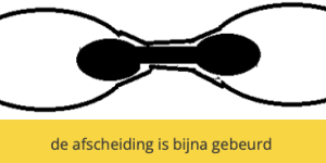 Scherm­afbeelding 2026-01-03 om 16.52.25