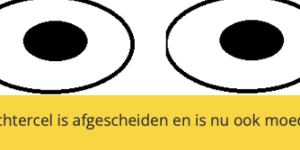 Scherm­afbeelding 2026-01-03 om 16.52.42